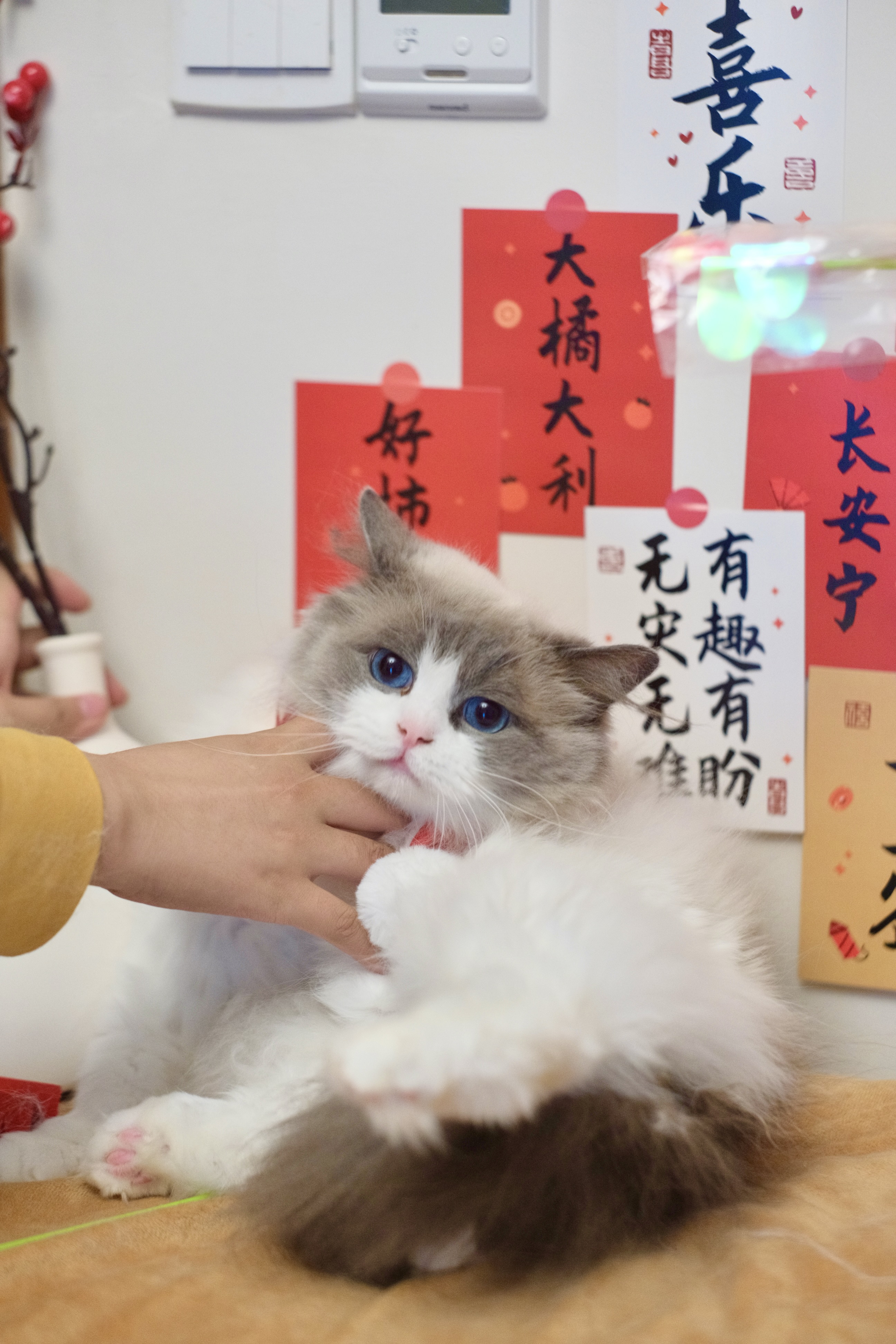 派蒙