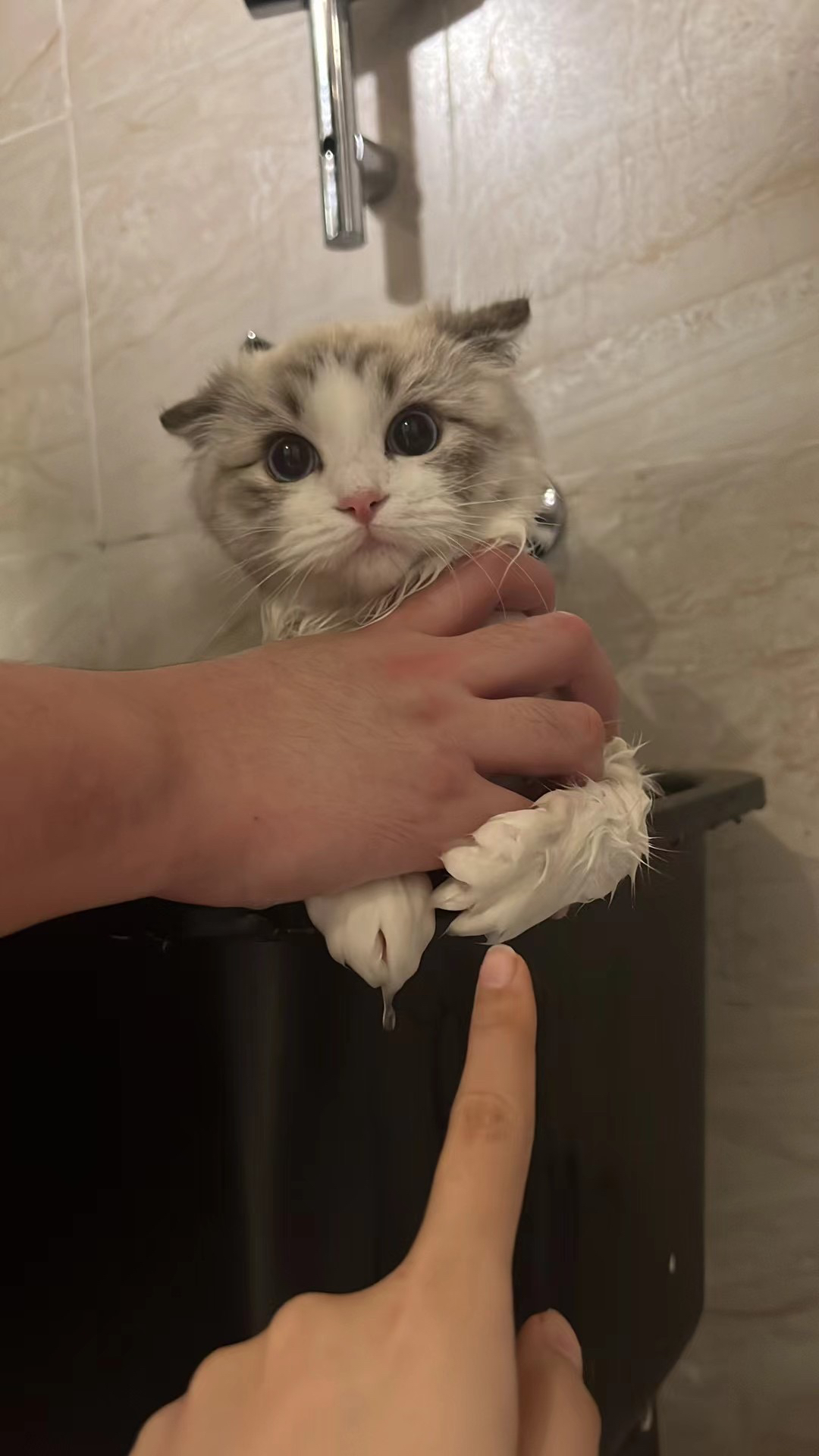 小蓝