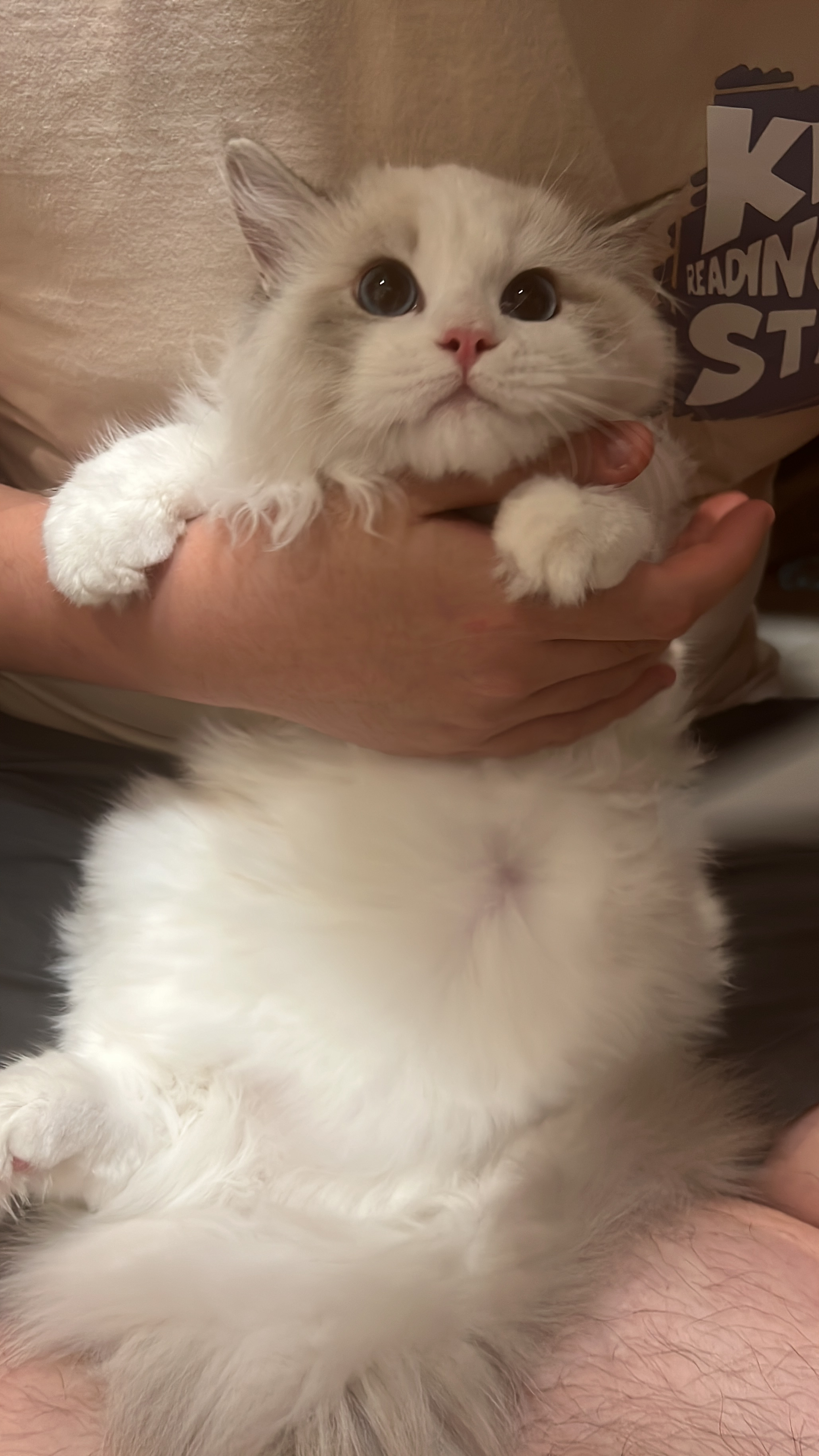 美元