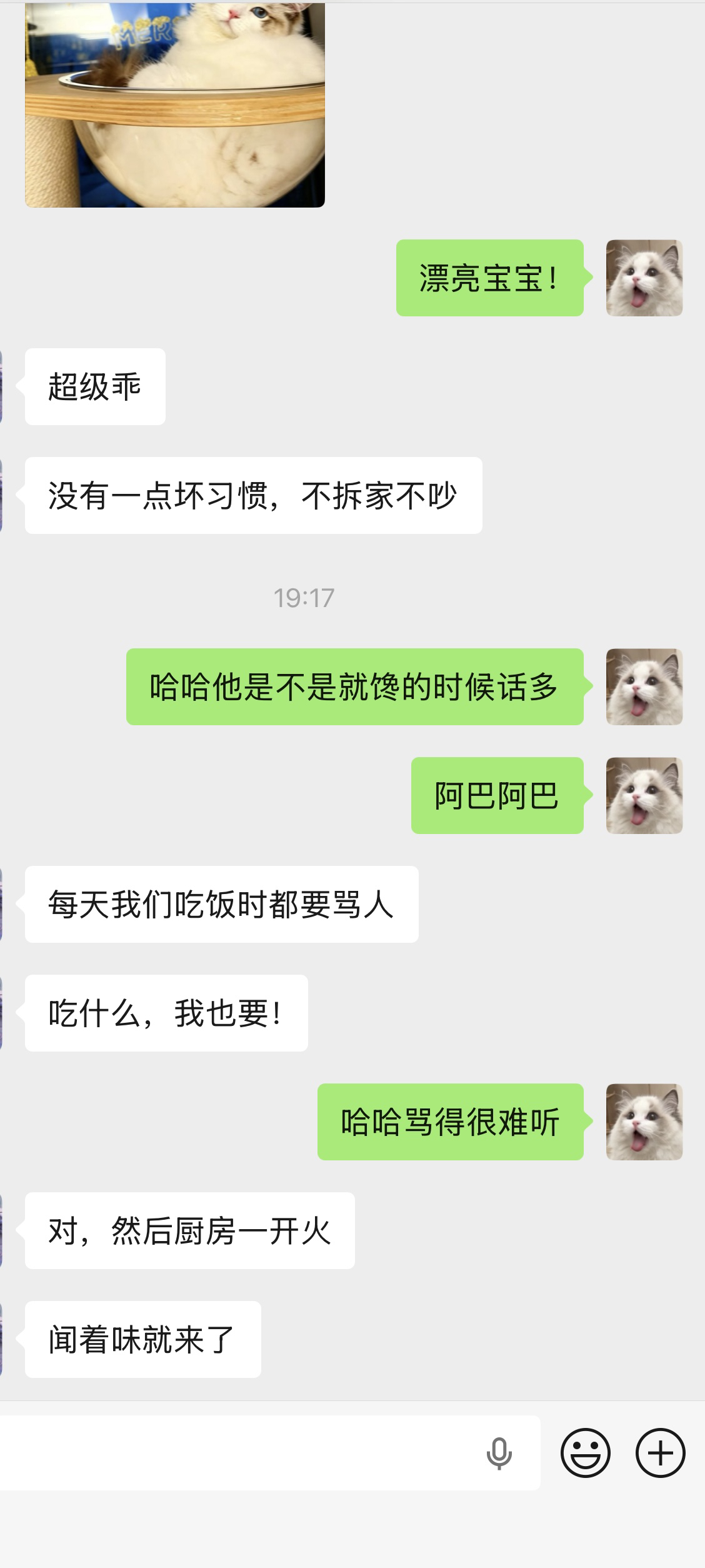 苍苍（软软红）