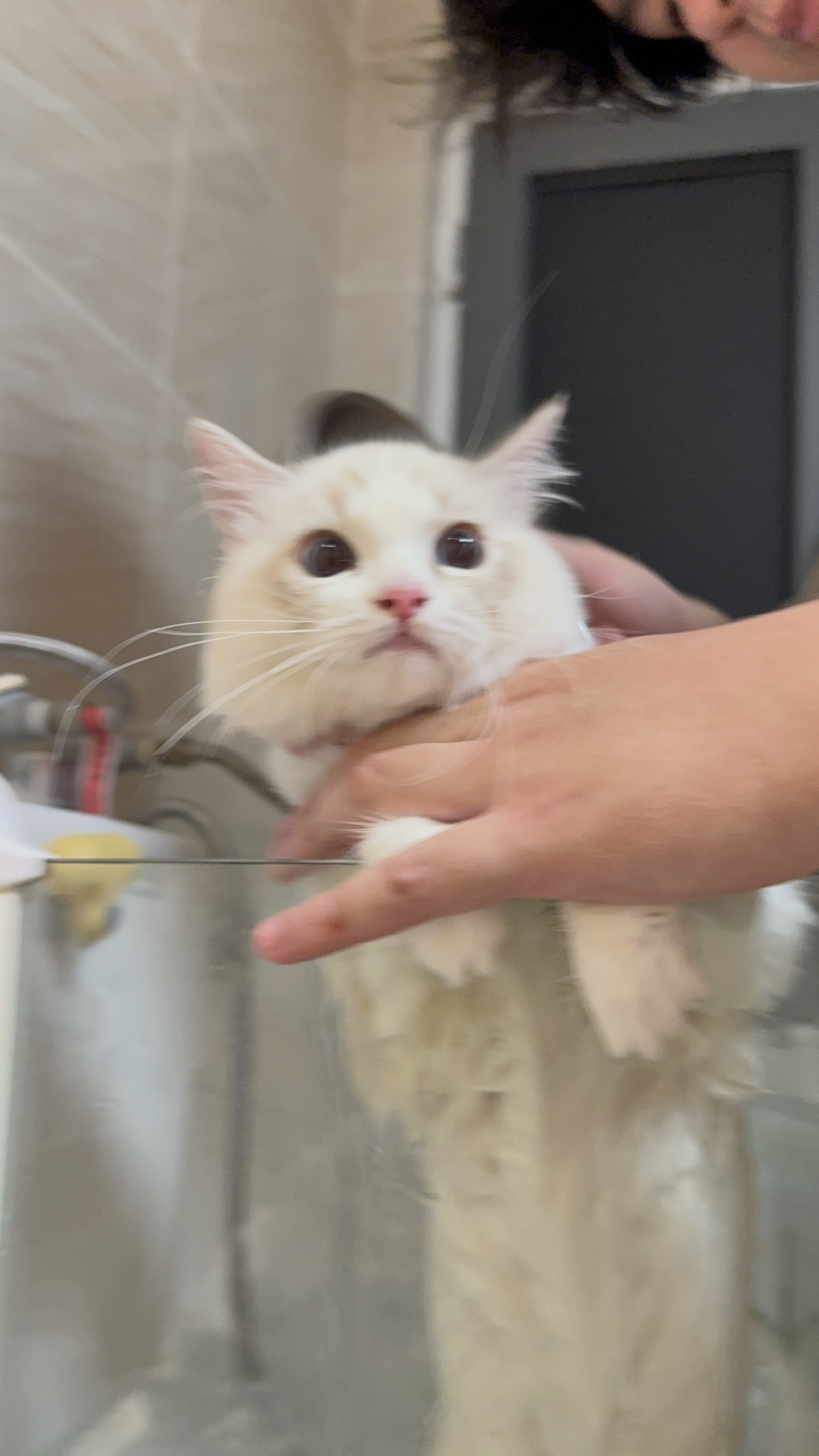 洗澡澡咯
