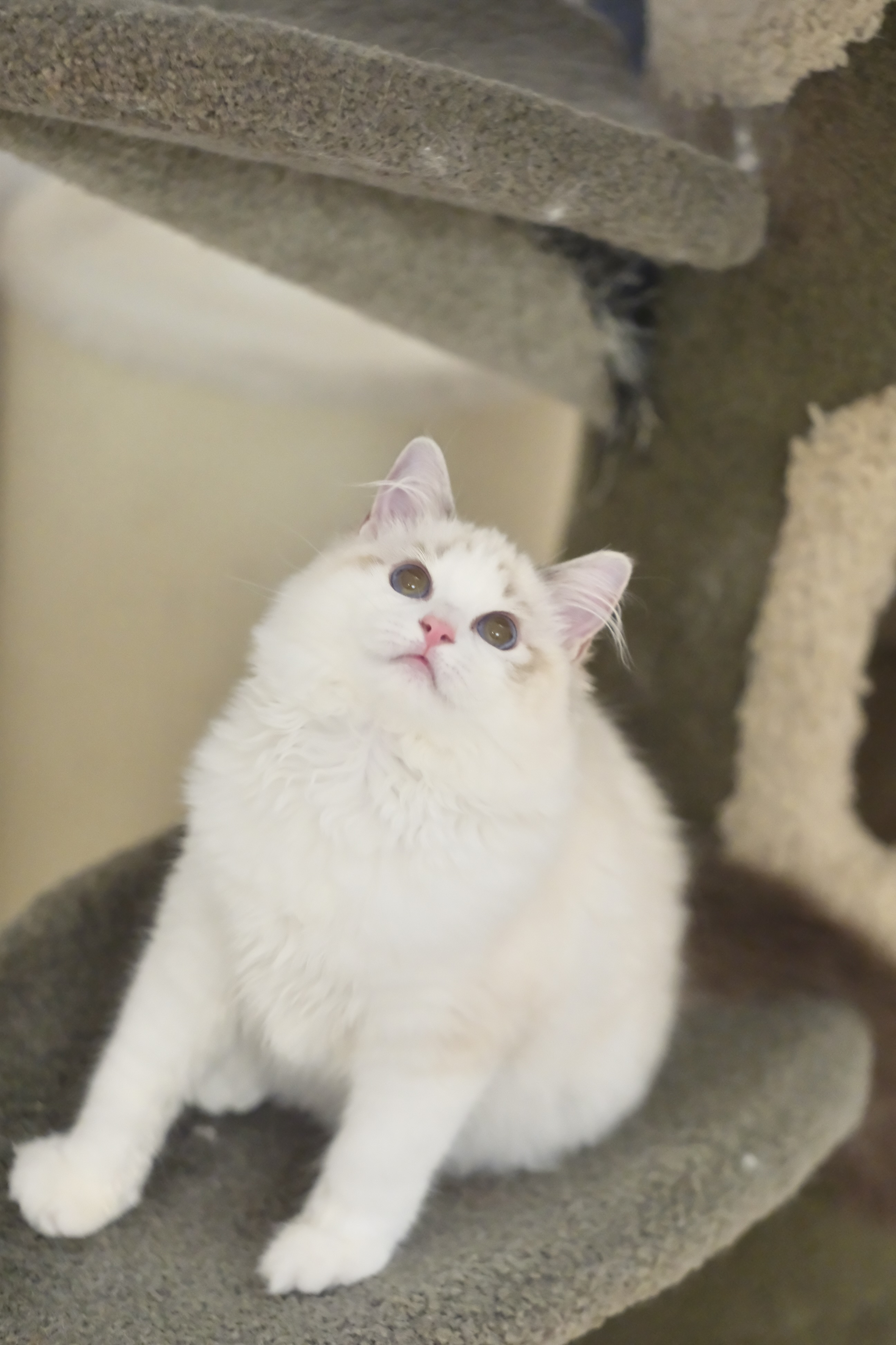你有点好看
重复的一张都不想删哈哈