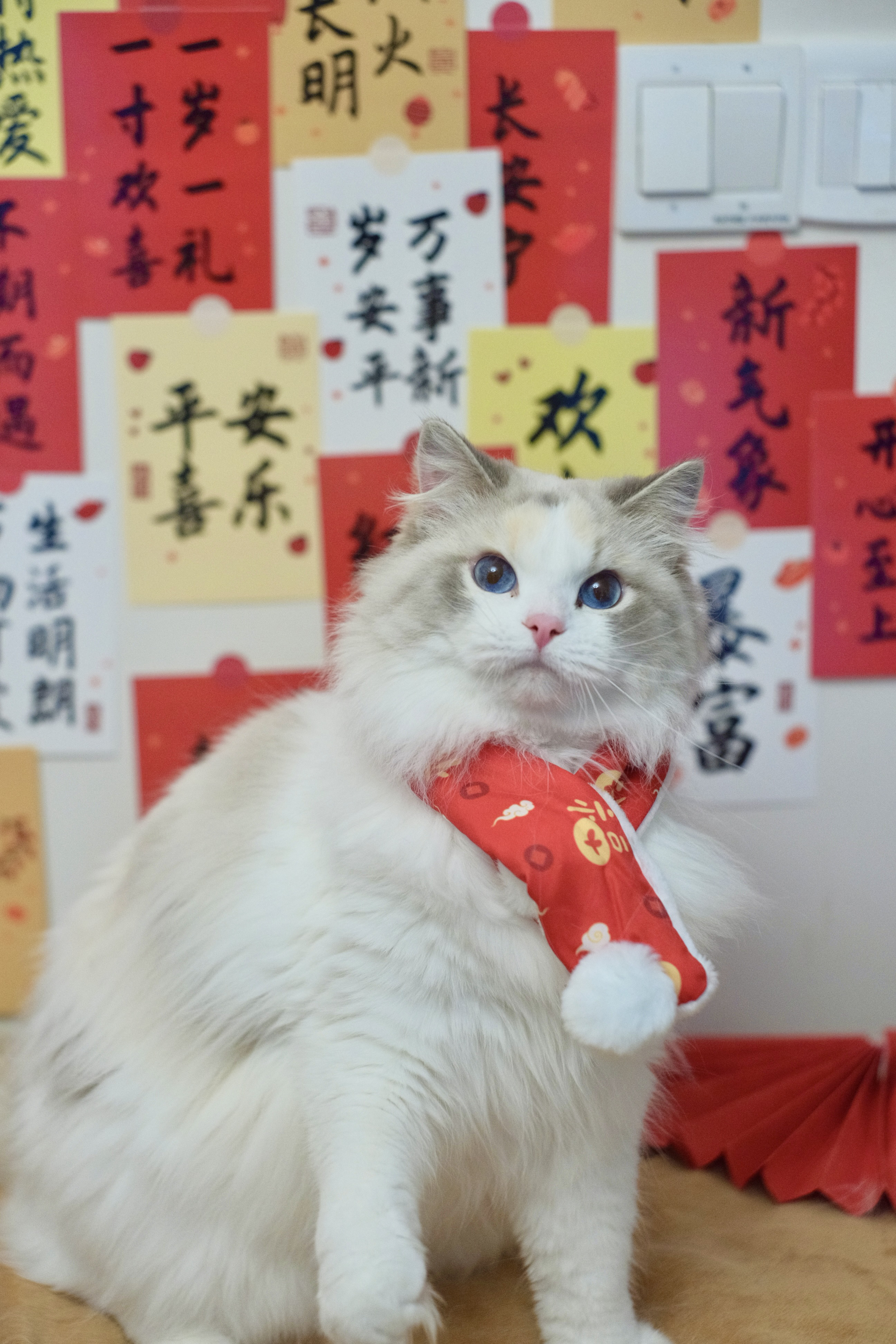 奶芙