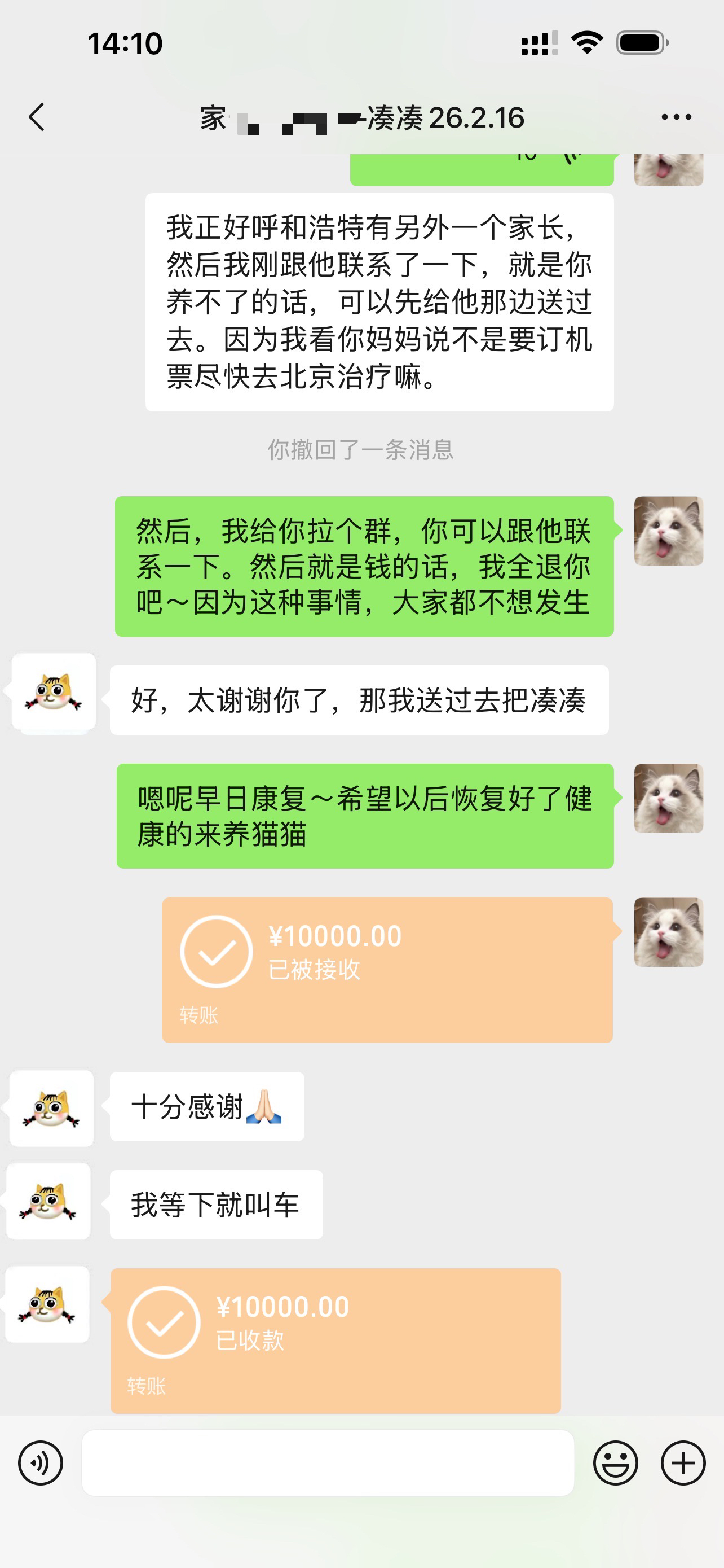 原家长突发恶疾
小猫重新找家啦
